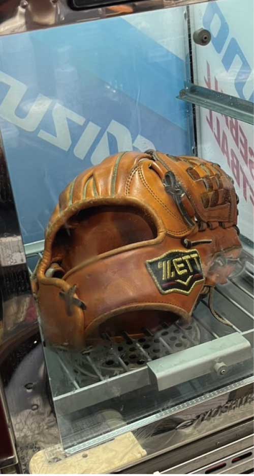 グローブスチーマー